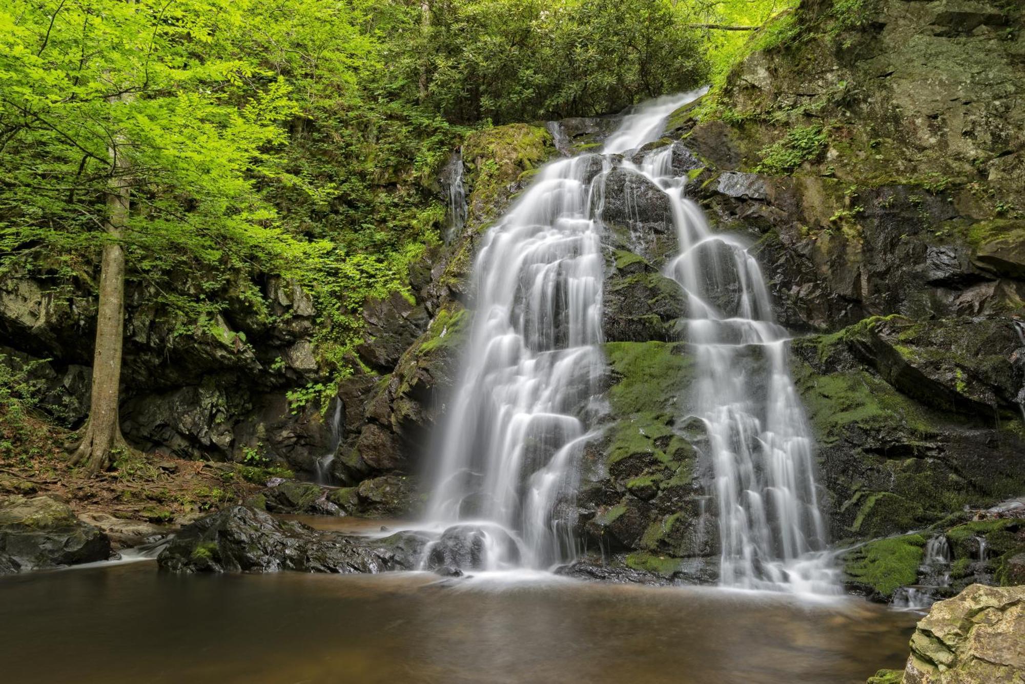 Moonshine Chalet, Hot Tub, Pool Access, Wifi, 1089 Free Tickets Each Paid Day, Dollywood And More Gatlinburg Ngoại thất bức ảnh